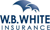 Business & Financial Insurance Services - WB White 