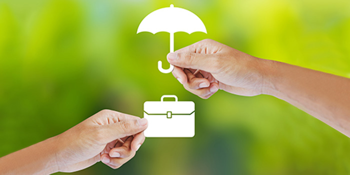 Umbrella Liability Insurance