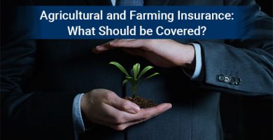 Agricultural and Farming Insurance: What Should be Covered?