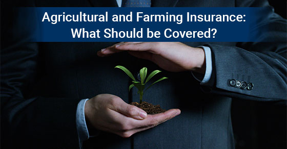 Agricultural and Farming Insurance: What Should be Covered?